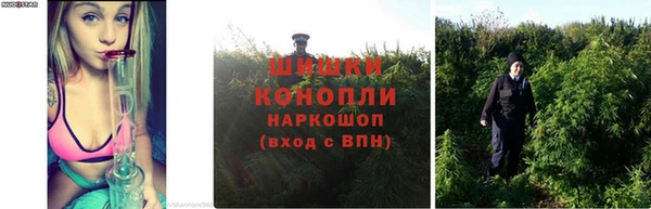 дурь Богданович